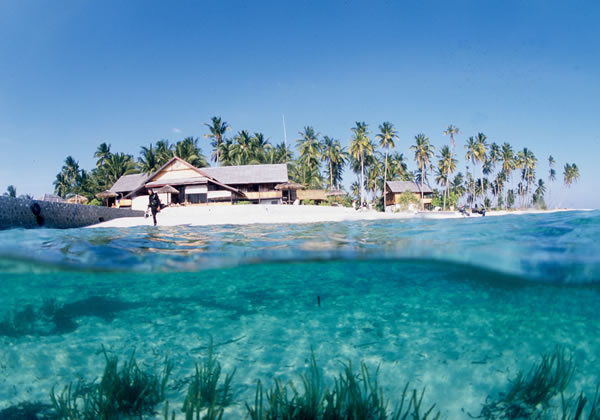 wakatobi tourism